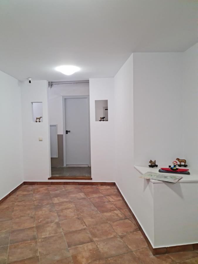 Appartement Ca La Maria à La Seu d'Urgell Extérieur photo